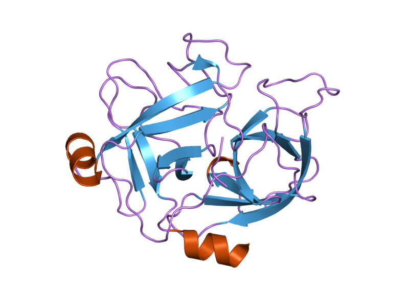 File:PDB 2asu EBI.png