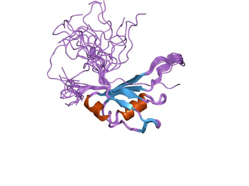 File:PDB 2cpf EBI.jpg