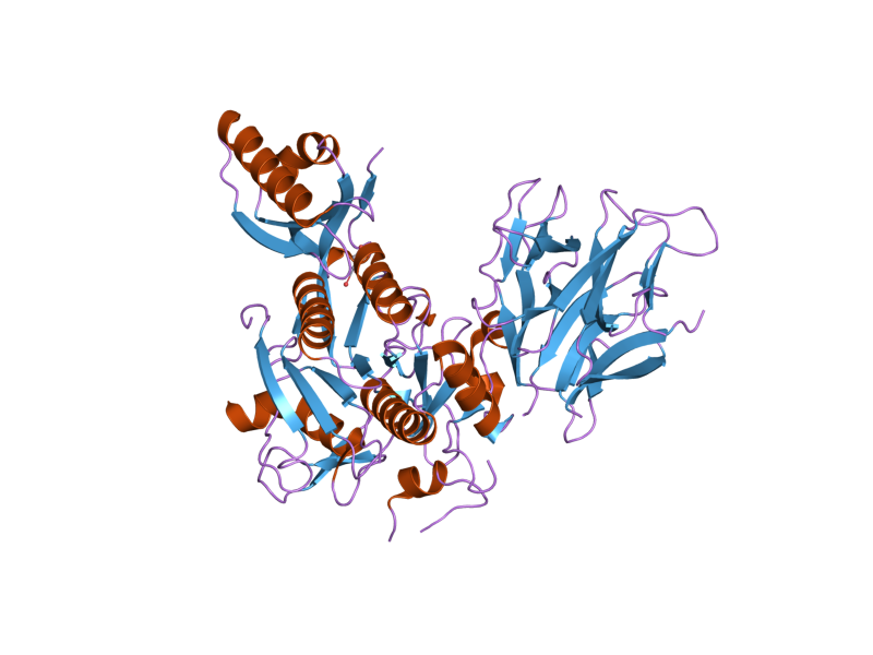 File:PDB 2p4e EBI.png