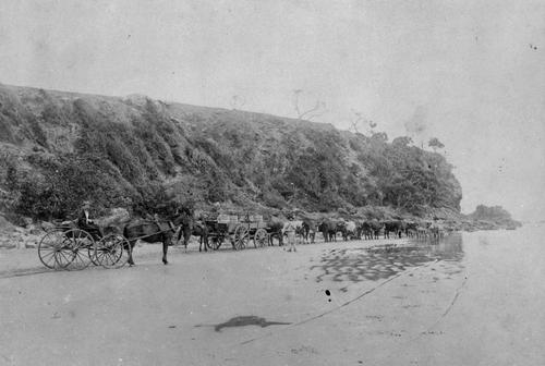 File:Yeppoon-bluff1887-bullockteam.png