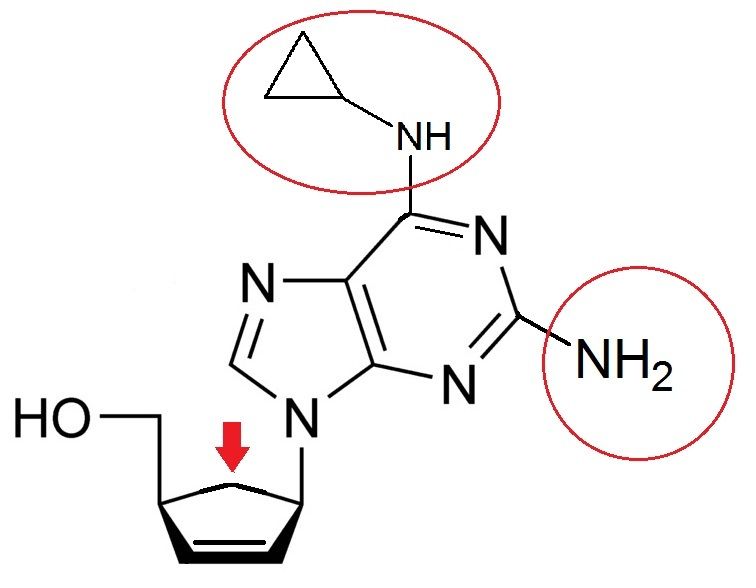 File:Abacavrinyjamynd.jpg