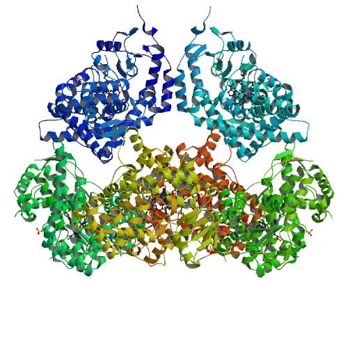 File:Aldosteronecomplexdeoxycorticosterone.jpg