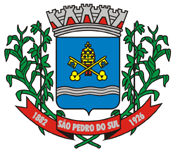 File:Brasão de São Pedro do Sul.png