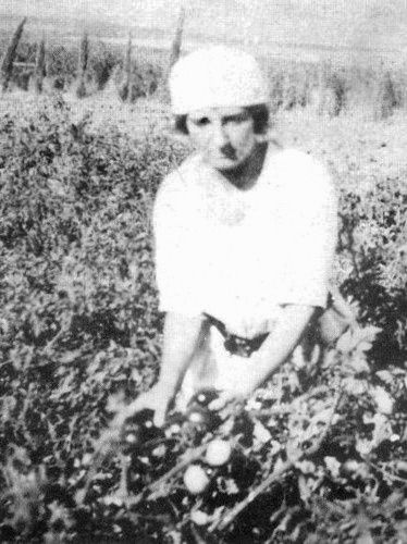 File:Golda working in kibbutz Merhavia1.jpg