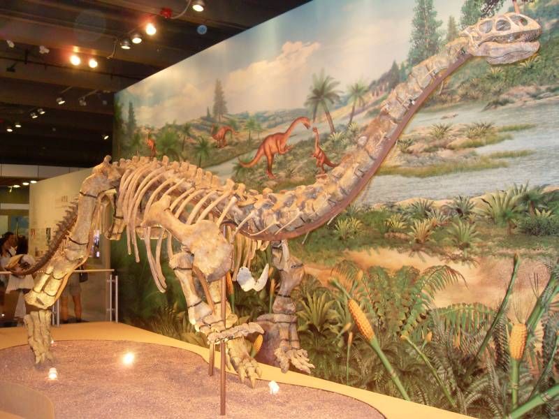 File:Lufengosaurus 20081026 HKScienceMuseum.jpg