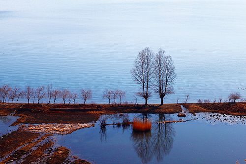 File:Lugu Lake marshy land.jpg