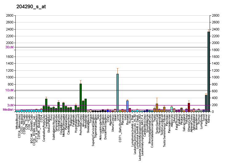 File:PBB GE ALDH6A1 204290 s at fs.png