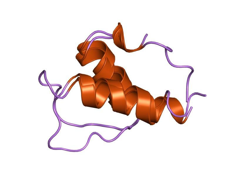 File:PDB 1gjj EBI.jpg