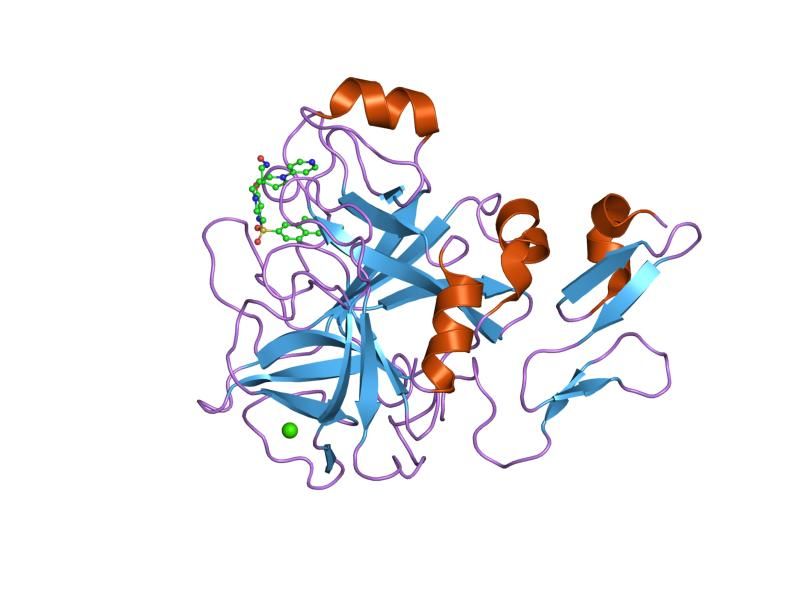 File:PDB 1iqg EBI.jpg