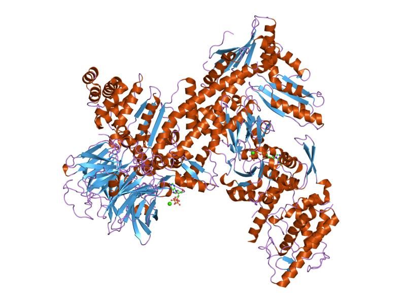 File:PDB 1tyq EBI.jpg