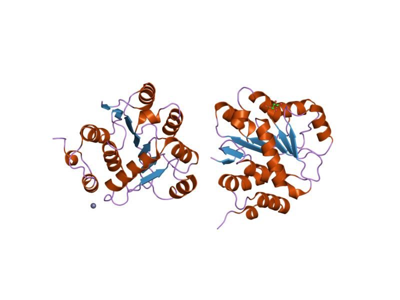 File:PDB 1vec EBI.jpg