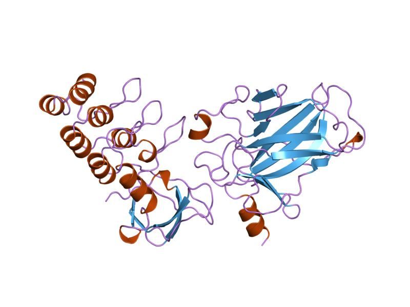 File:PDB 1ycs EBI.jpg