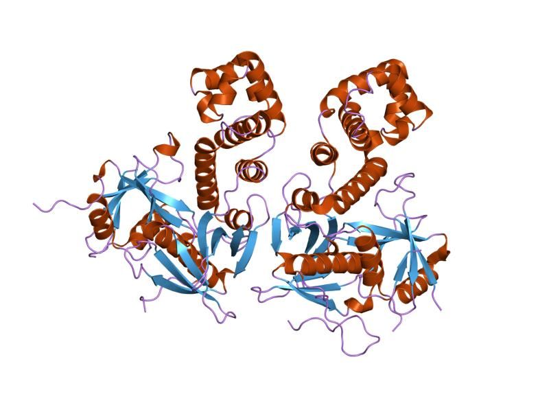 File:PDB 2al6 EBI.jpg