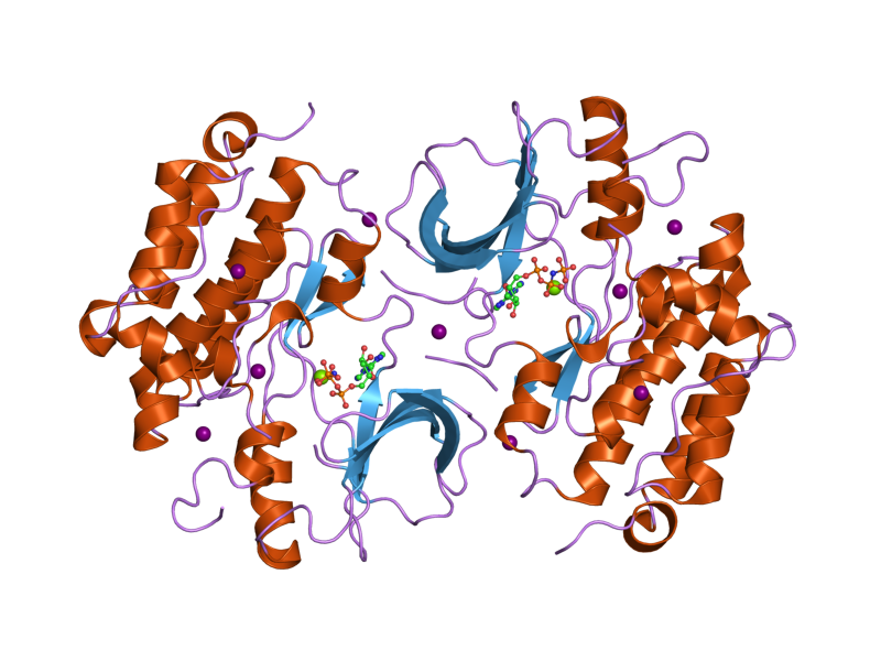 File:PDB 2gs7 EBI.png