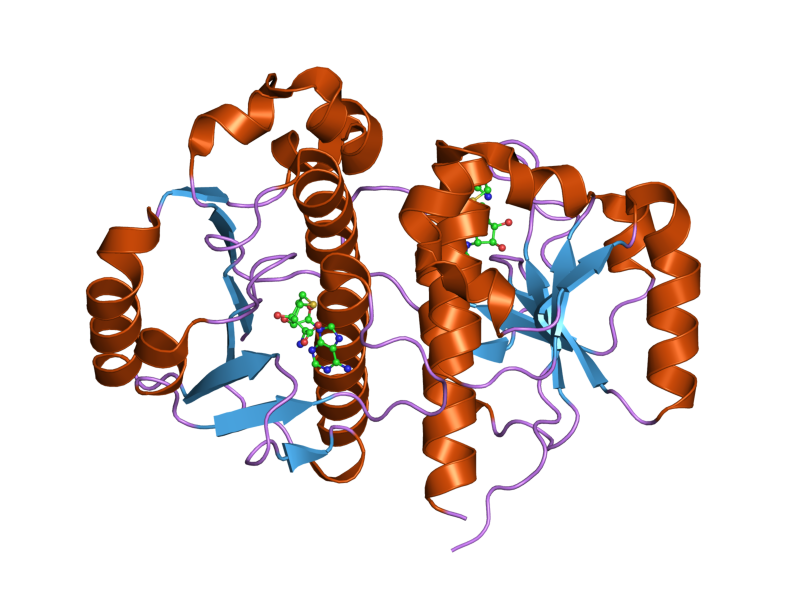 File:PDB 2ha8 EBI.png