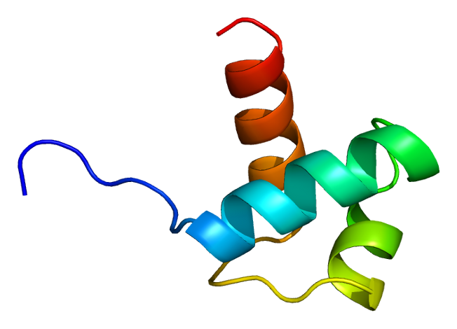 File:Protein TERF1 PDB 1ba5.png