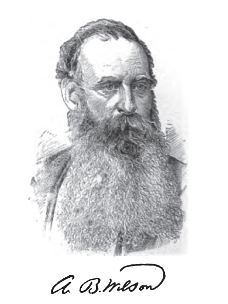 File:Allen Benjamin Wilson.png