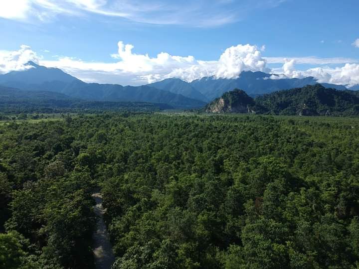 File:Ariel View of Gethsemanene Man-made forest.jpg