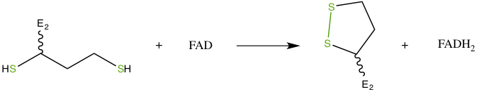 File:BCKDC catalytic mechanism step 4.png