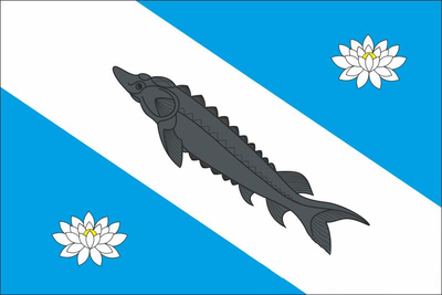 File:Bilozirya prapor.png