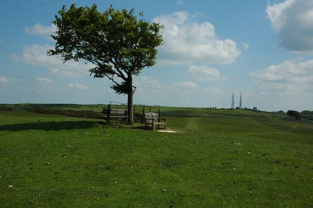 File:Cleeve Common - geograph.org.uk - 1334552.jpg