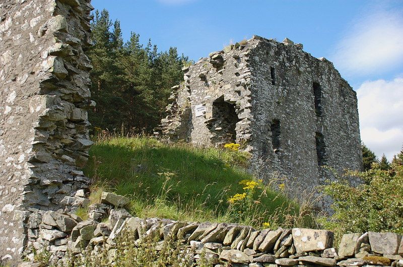 File:Elibank Castle - geograph.org.uk - 2026524.jpg