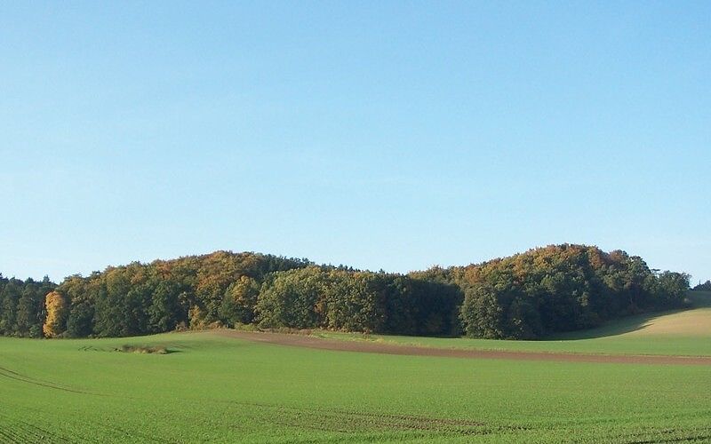 File:Mecklenburger Schweiz am Malchiner See.JPG