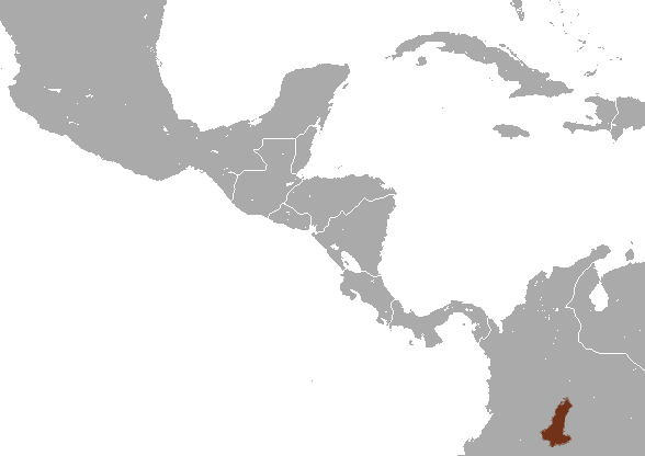 File:Ornate Titi area.png