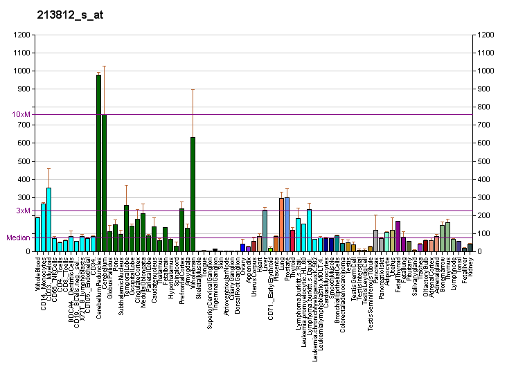 File:PBB GE CAMKK2 213812 s at fs.png