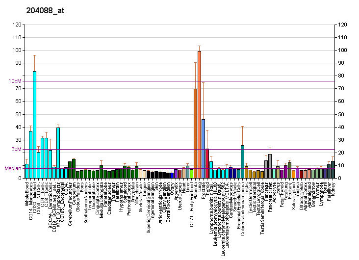 File:PBB GE P2RX4 204088 at fs.png