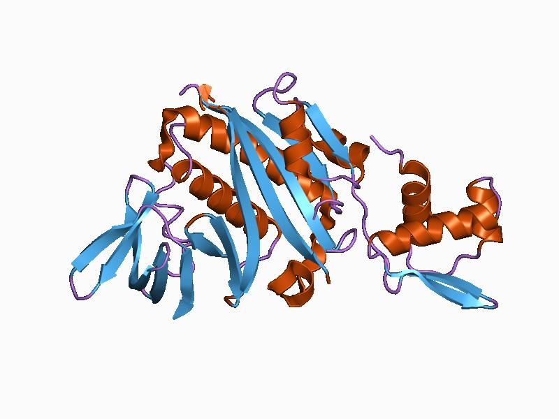 File:PDB 1bia EBI.jpg