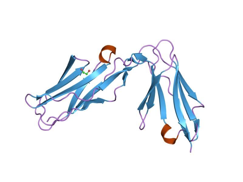 File:PDB 1oll EBI.jpg