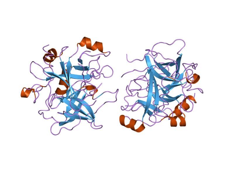 File:PDB 1tq0 EBI.jpg