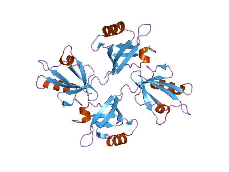 File:PDB 1w9q EBI.jpg