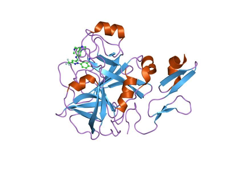 File:PDB 1z6e EBI.jpg