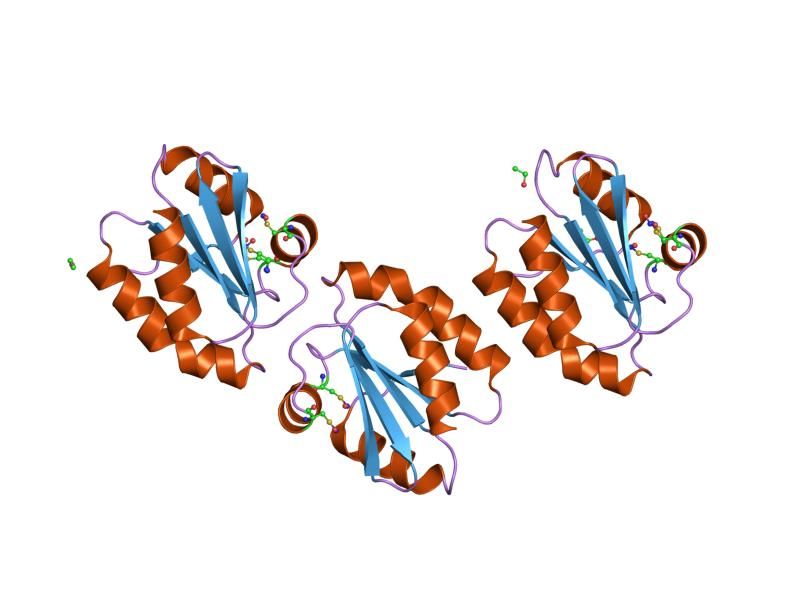 File:PDB 2hxk EBI.jpg