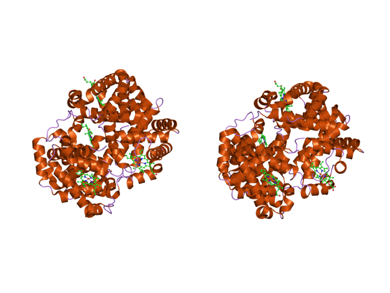 File:PDB 2yrs EBI.png