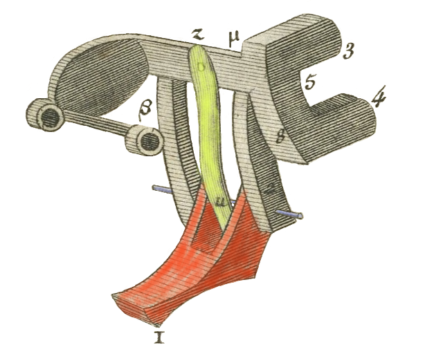 File:PascalineSautoirColored.png