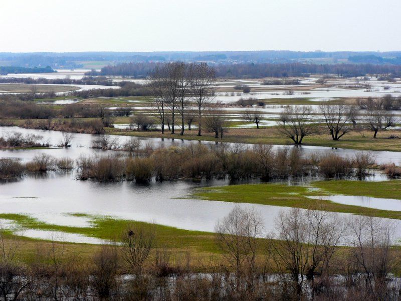 File:Poland Narew Góra Strękowa.jpg