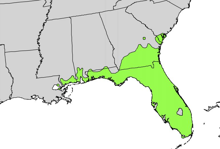 File:Serenoa repens range map.jpg