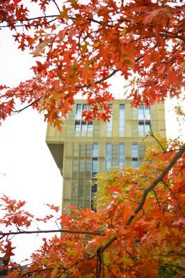 File:Van Olst tower in autumn.jpg