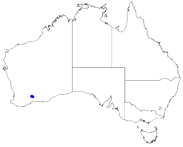 File:Boronia revoluta DistMap100.png