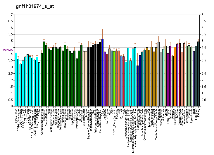 File:PBB GE OR10Z1 gnf1h01974 s at fs.png