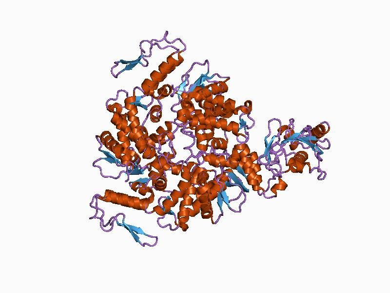 File:PDB 1c4z EBI.jpg