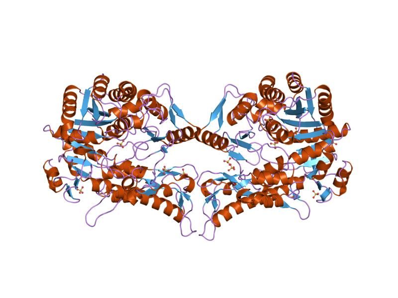 File:PDB 1eg7 EBI.jpg