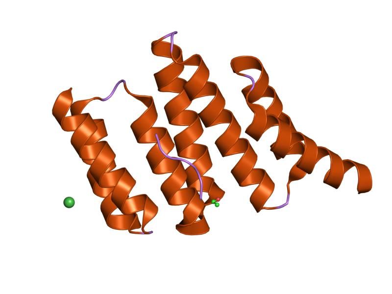 File:PDB 1elr EBI.jpg