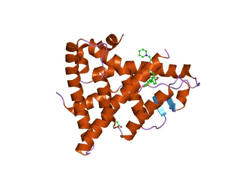 File:PDB 1qkn EBI.jpg