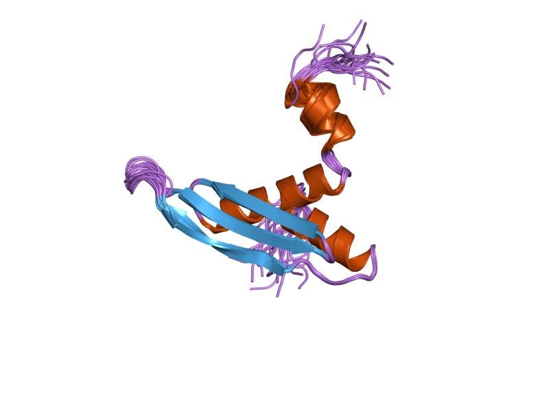 File:PDB 1uhz EBI.jpg