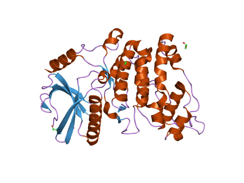 File:PDB 1wak EBI.png