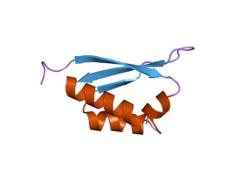 File:PDB 1wvn EBI.jpg